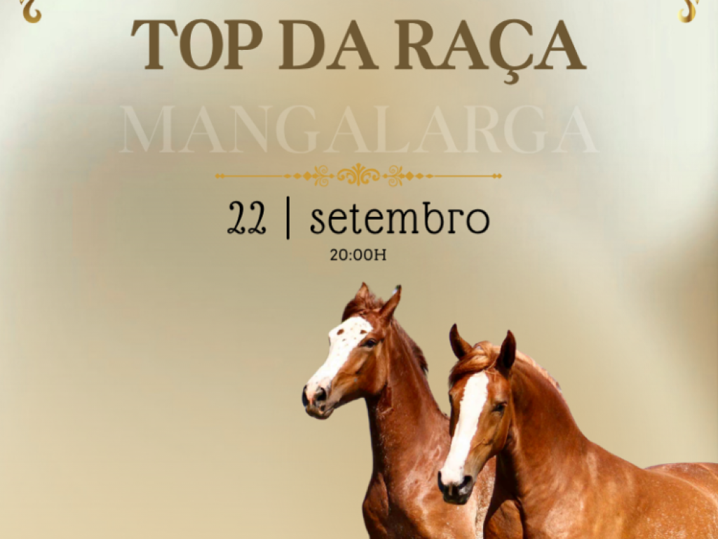 Galeria de Fotos