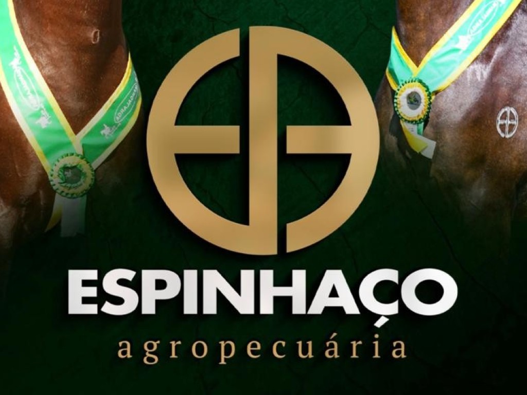 Galeria de Fotos