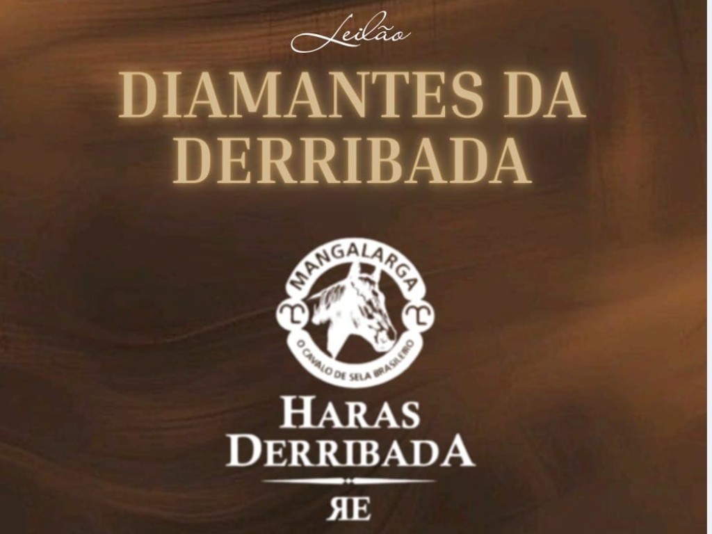 Galeria de Fotos