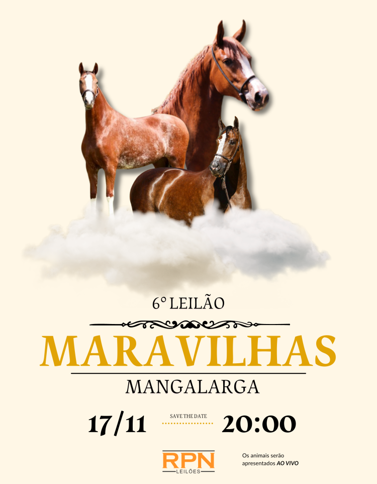 Capa da agenda