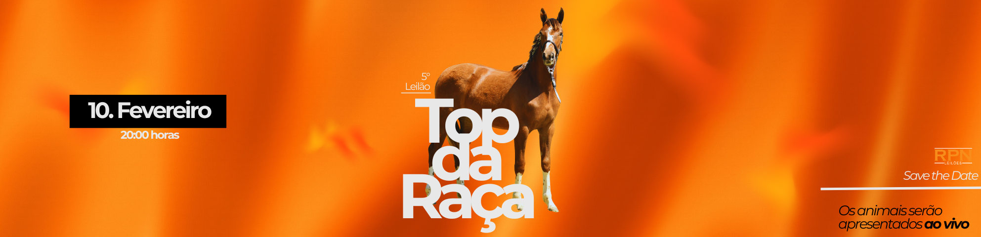 Slide /5-LEILAO-TOP-DA-RACA-MANGALARGA