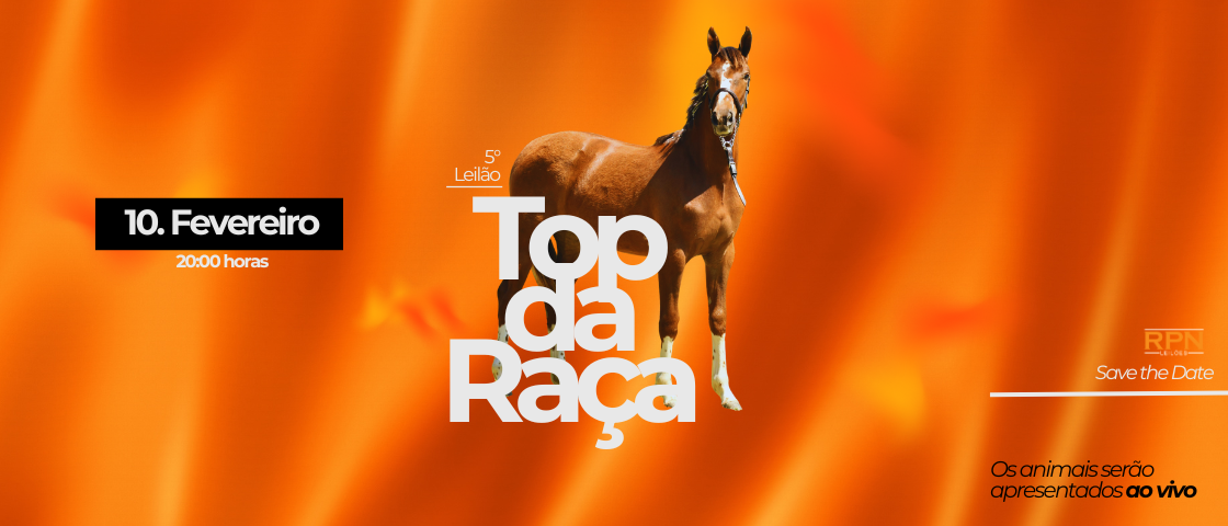 Slide /5-LEILAO-TOP-DA-RACA-MANGALARGA