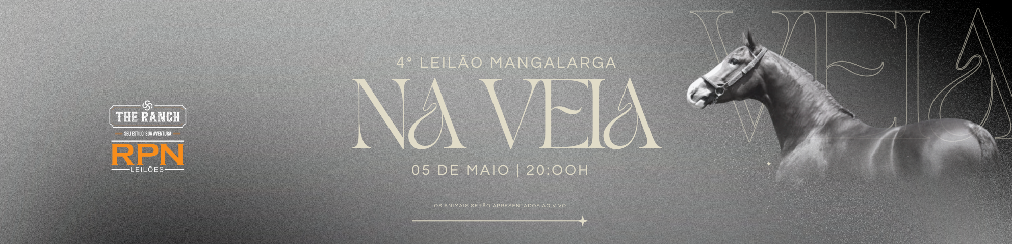 Slide 4-LEILAO-MANGALARGA-NA-VEIA