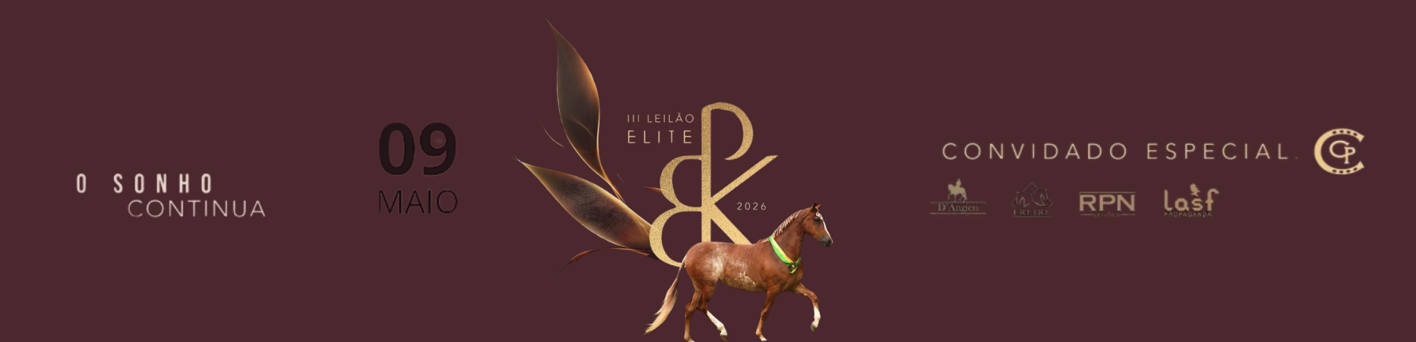 Slide III-LEILAO-ELITE-HARAS-BPK-O-SONHO-CONTINUA
