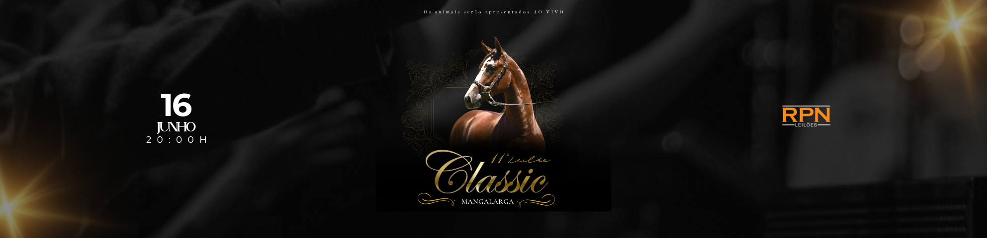 Slide 11-LEILAO-CLASSIC-MANGALARGA