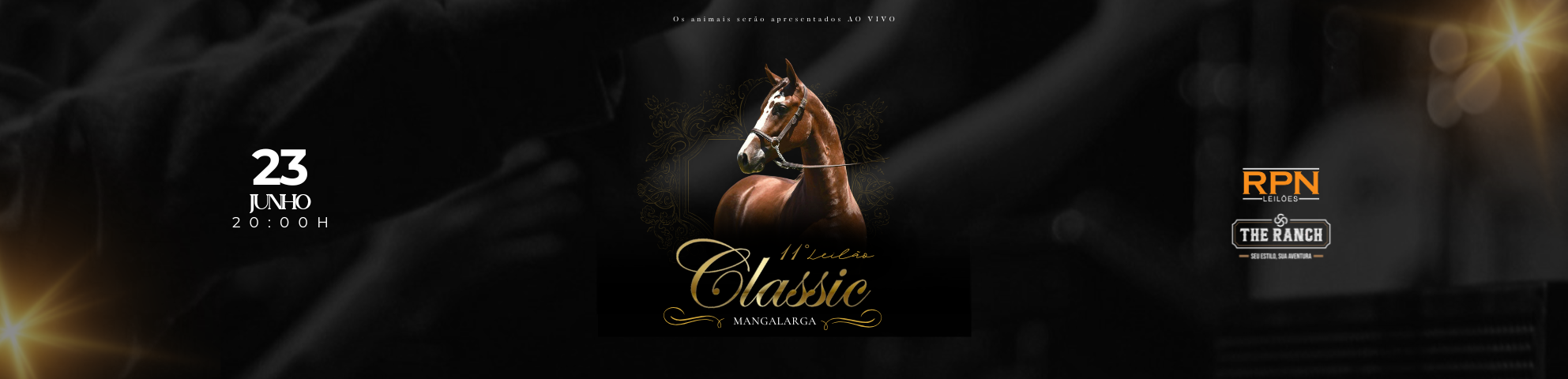 Slide 11-LEILAO-CLASSIC-MANGALARGA