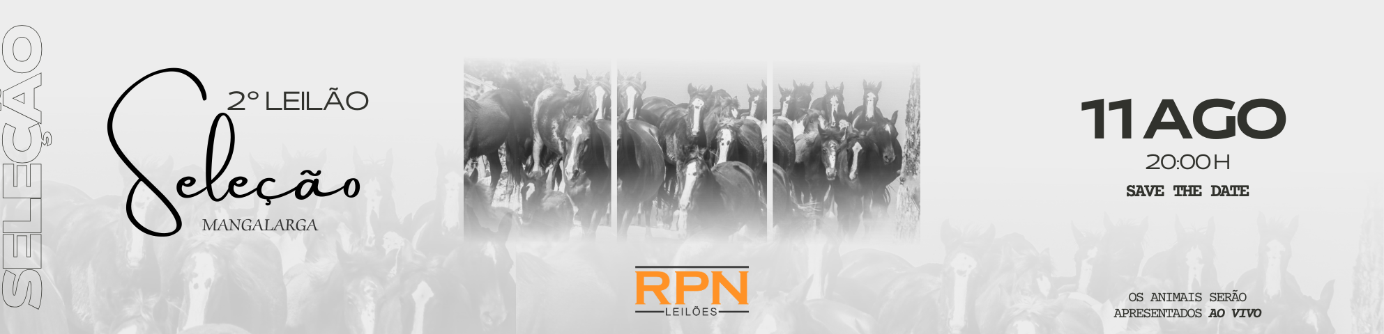 Slide 2-LEILAO-SELECAO-MANGALARGA