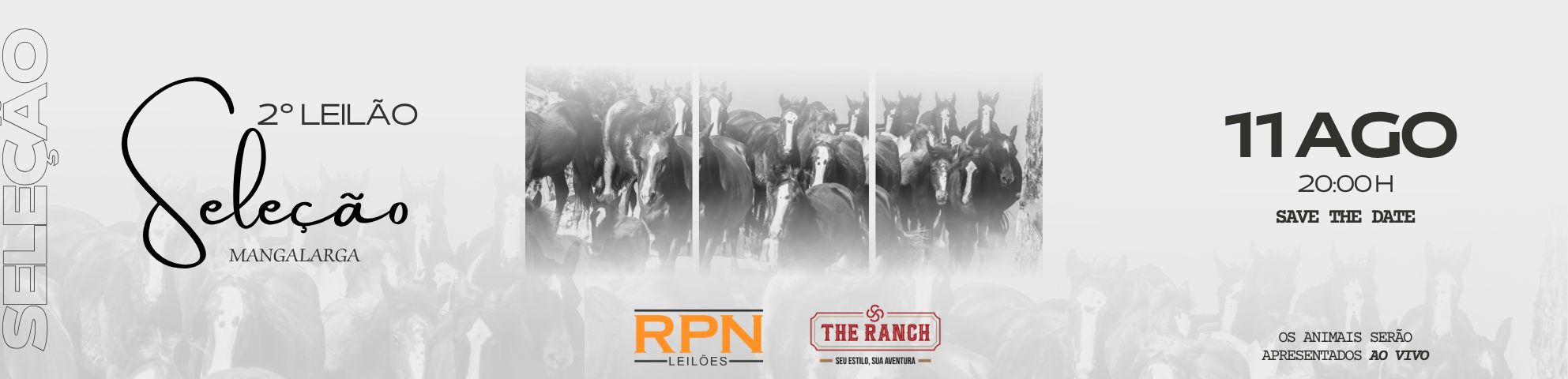 Slide 2-LEILAO-SELECAO-MANGALARGA