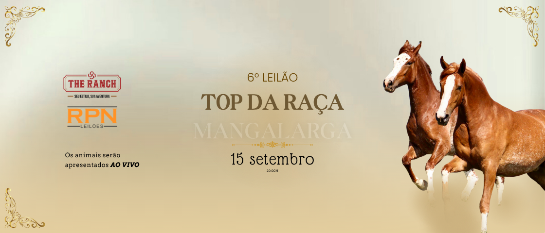 Slide 6-LEILAO-TOP-RACA-MANGALARGA