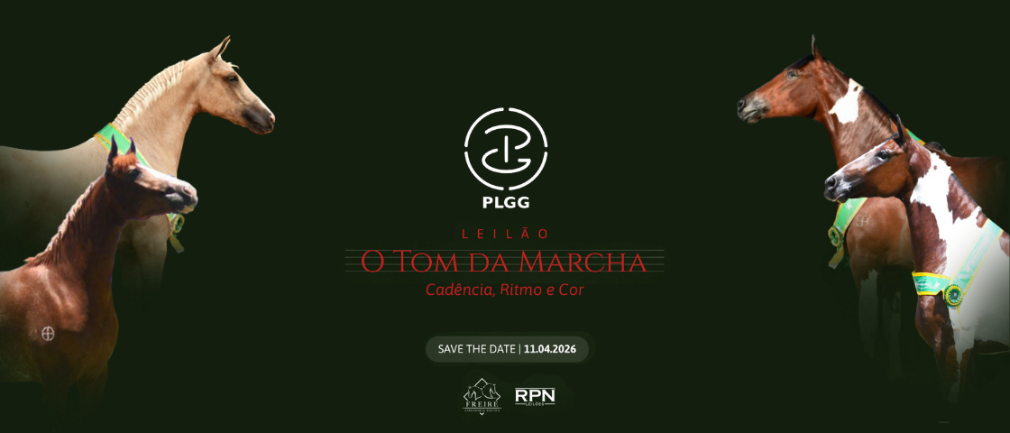 Slide LEILAO/LEILAO-ESTANCIA-PLGG