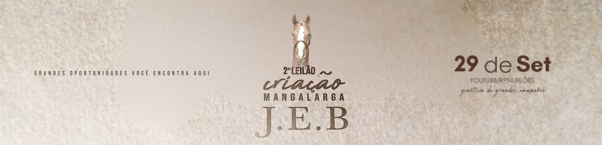 Slide 2-LEILAO-CRIACAO-MANGALARGA-JEB