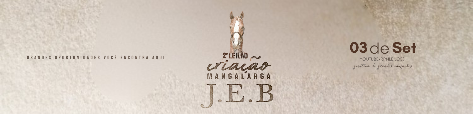 Slide 2-LEILAO-CRIACAO-MANGALARGA-JEB