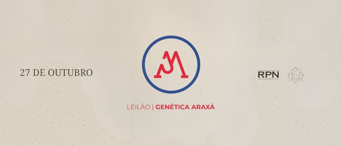 Slide LEILÃO ARAXÁ