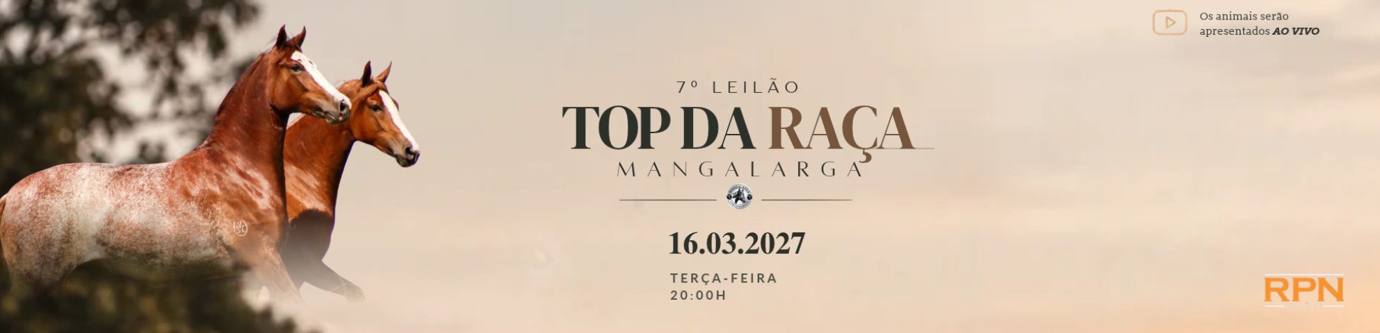 Slide 7° LEILÃO TOP DA RAÇA MANGALARGA