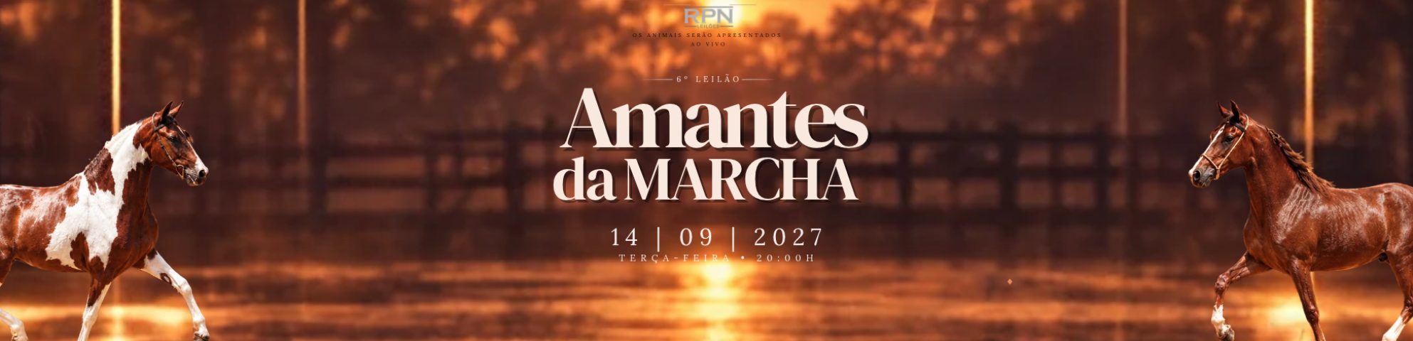 Slide 6° LEILÃO AMANTES DA MARCHA