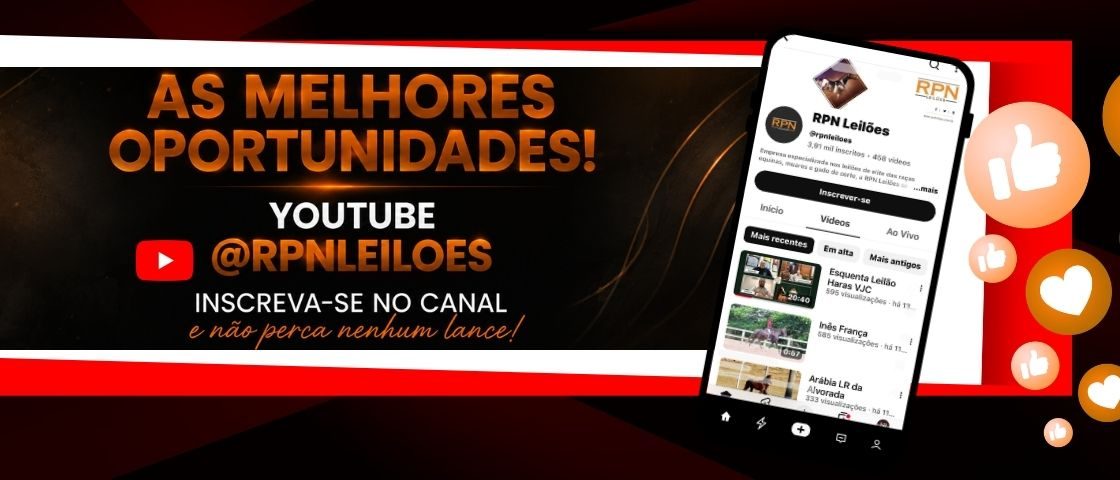 Slide YOUTUBE