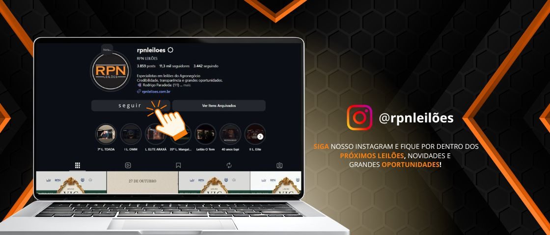 Slide INSTAGRAM RPN LEILÕES