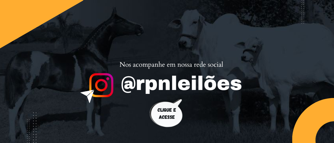 Slide INSTAGRAM RPN LEILÕES