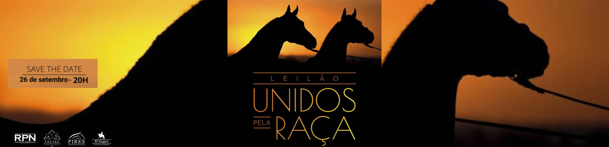 Slide LEILÃO UNIDOS PELA RAÇA