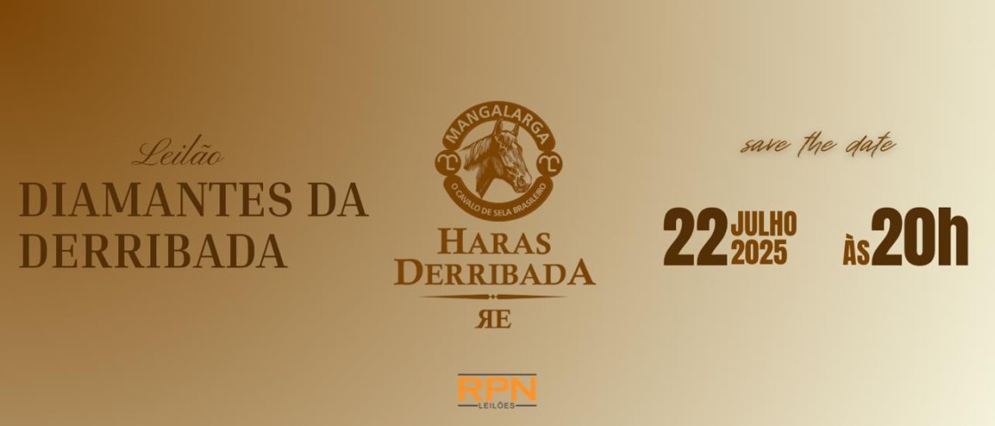 Slide LEILÃO DIAMANTES DA DERRIBADA