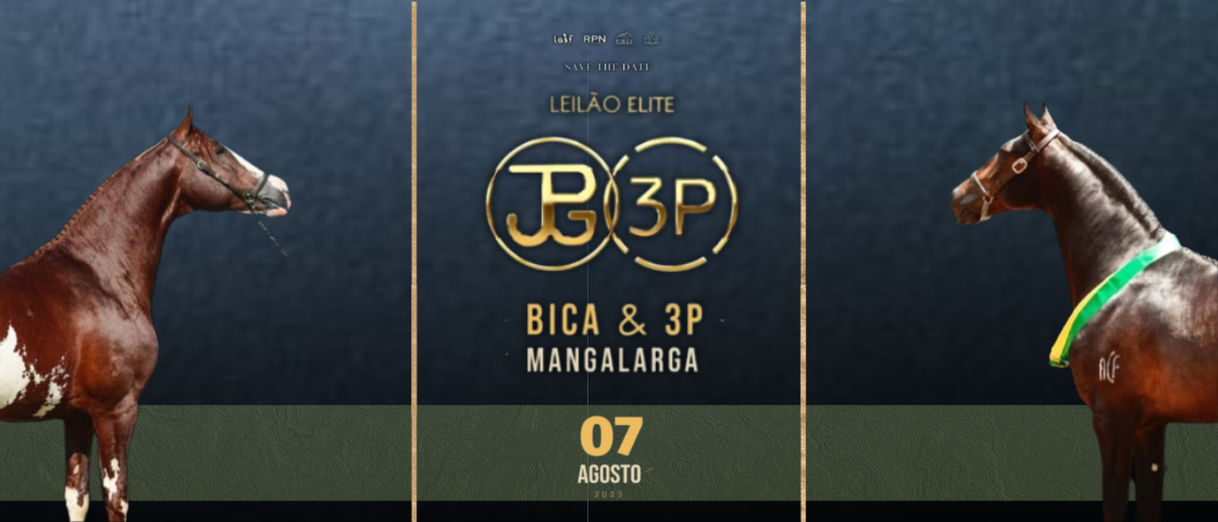 Slide LEILAO/LEILAO-ELITE-BICA-3P